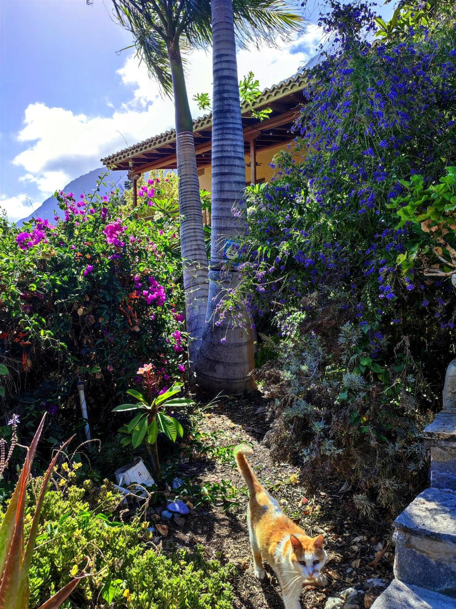 Rivendell Eco Lodge El Paso Kültér fotó